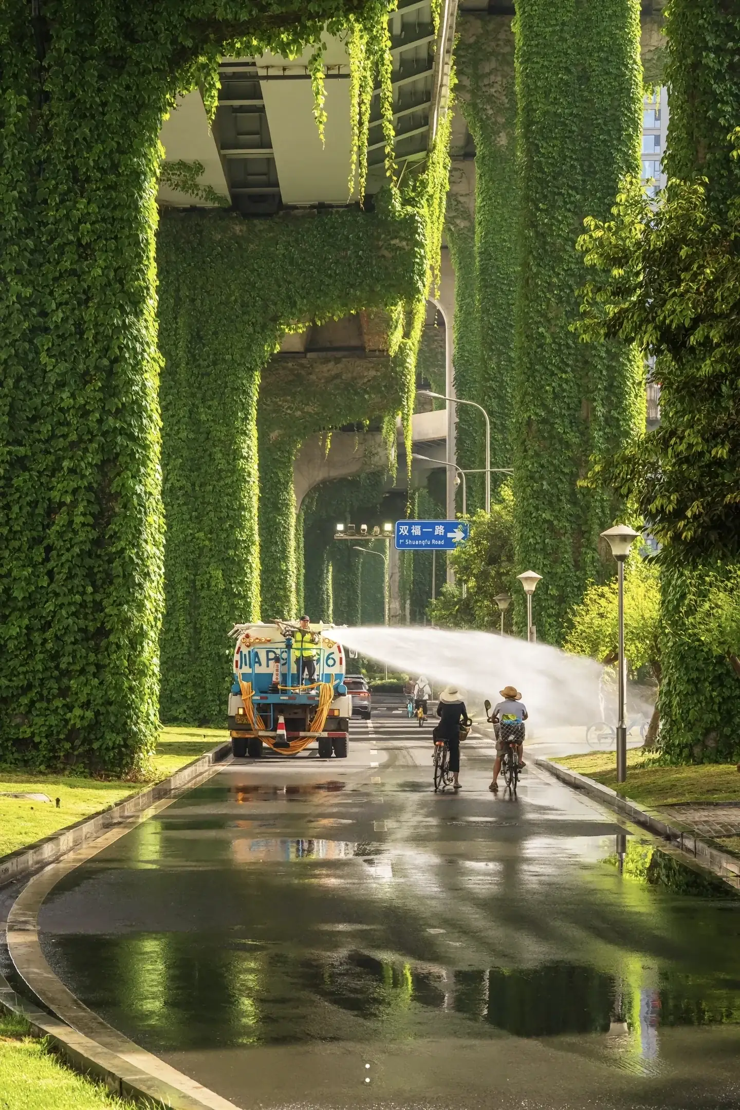 Chengdu street